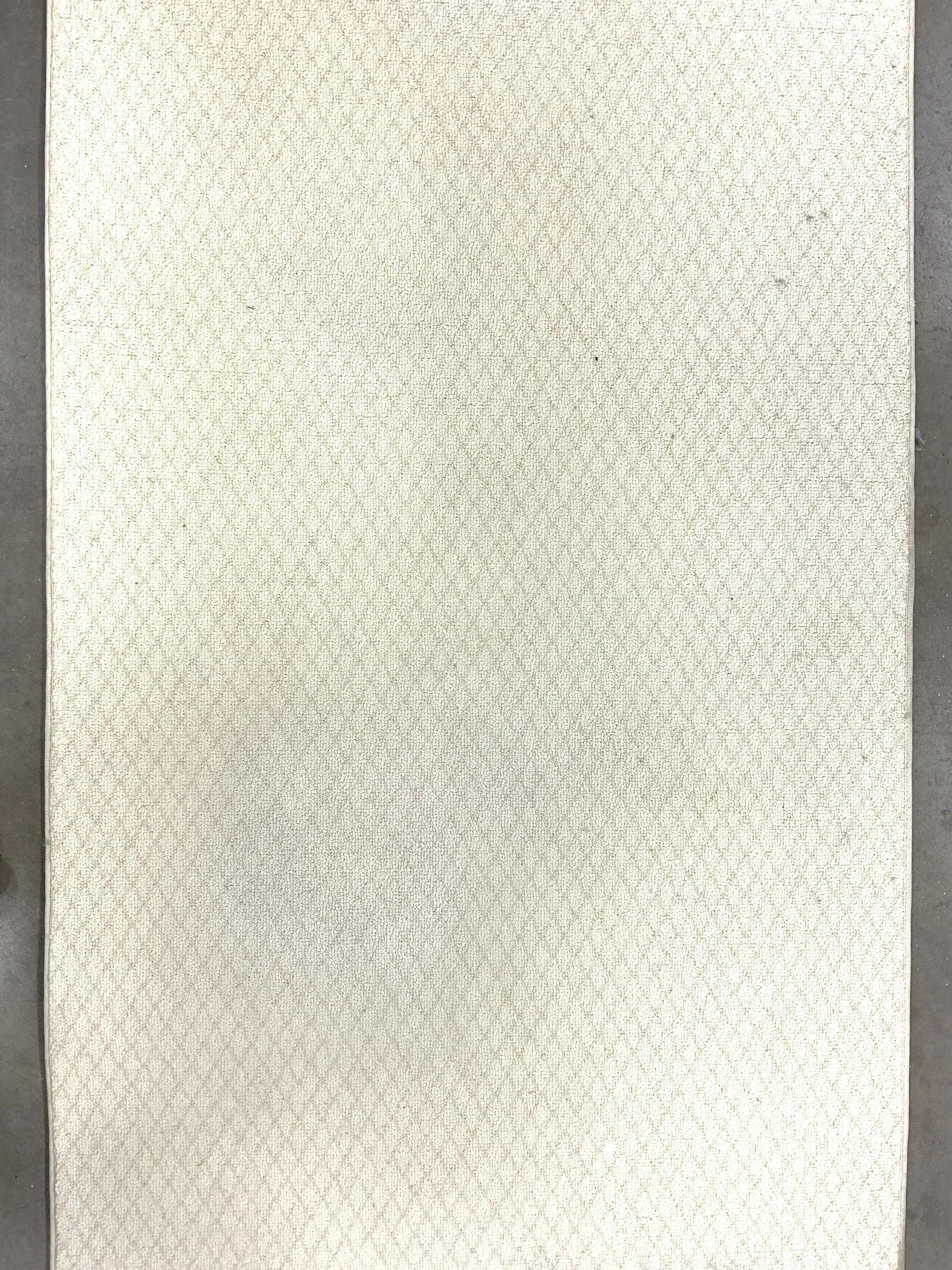 Sand Toned Wool Runner (1 of 7)