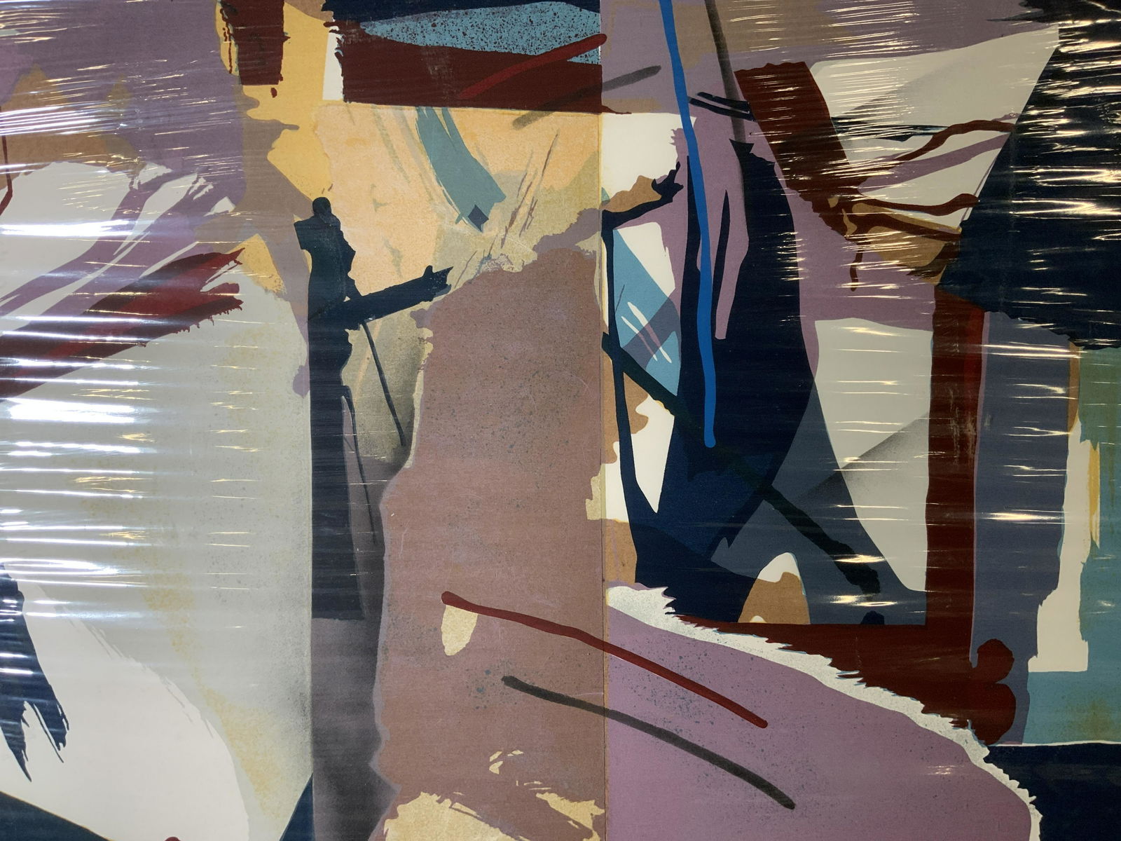 DENNIS FRINGS Signed Serigraph Artwork (1 of 8)