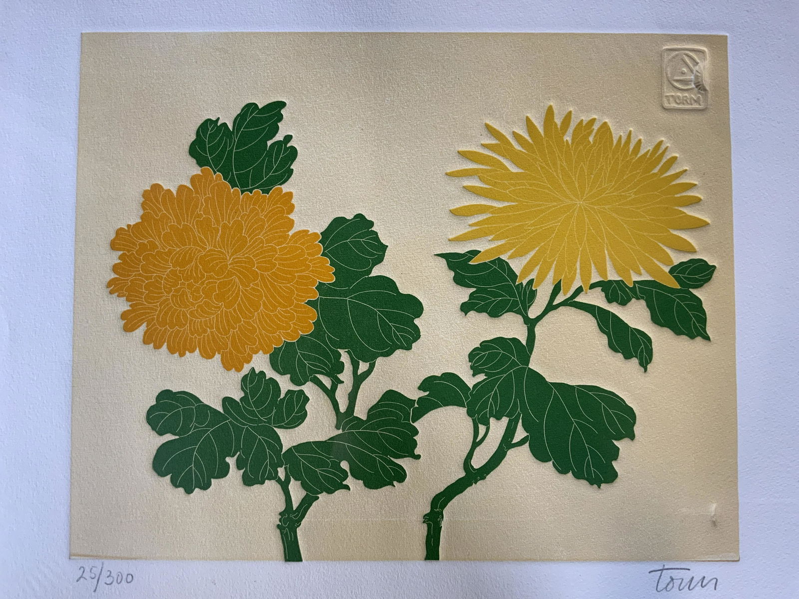 FERNANDO TORM Signed Lithograph Artwork (1 of 6)