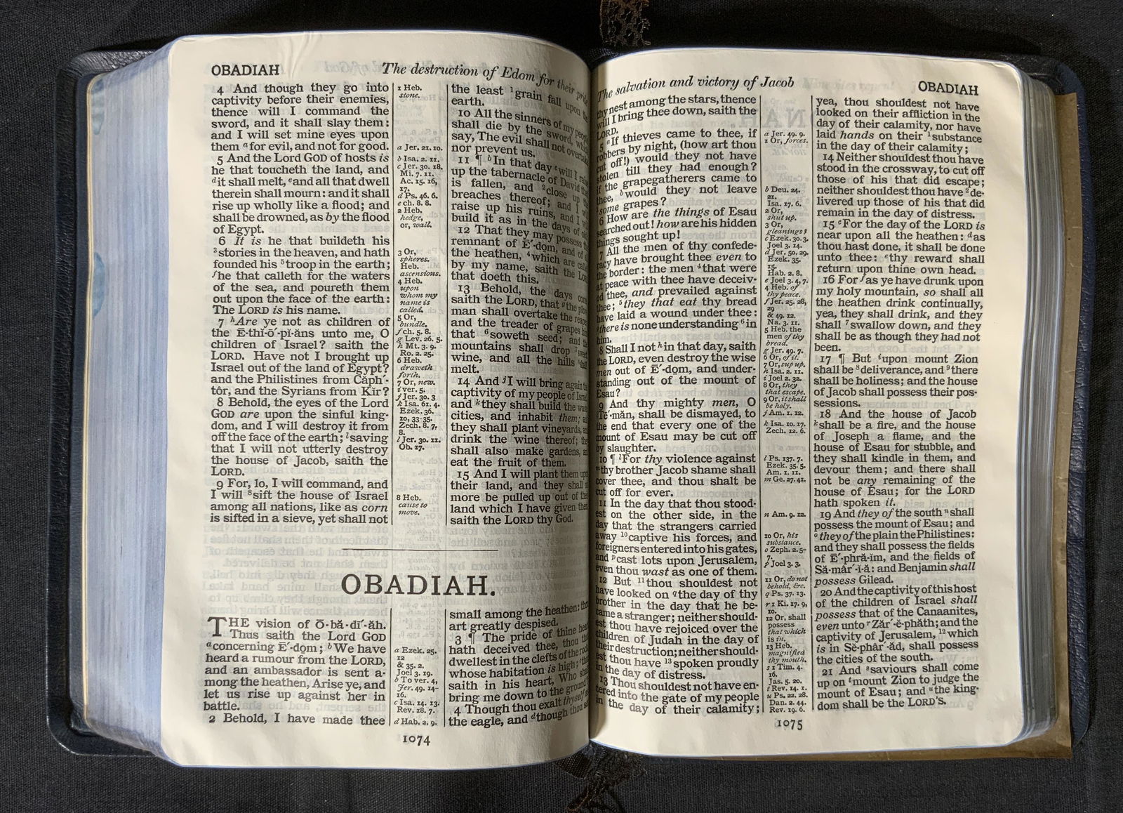 Cambridge Leather Bound Bible (1 of 6)