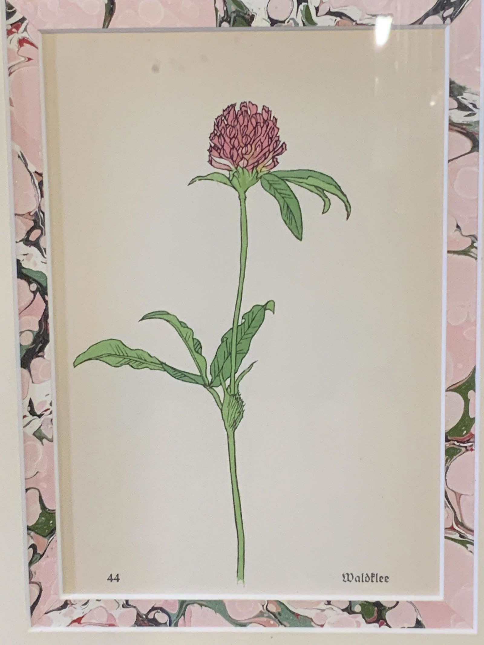 C.1900 German Floral Chromo Lithograph (1 of 10)