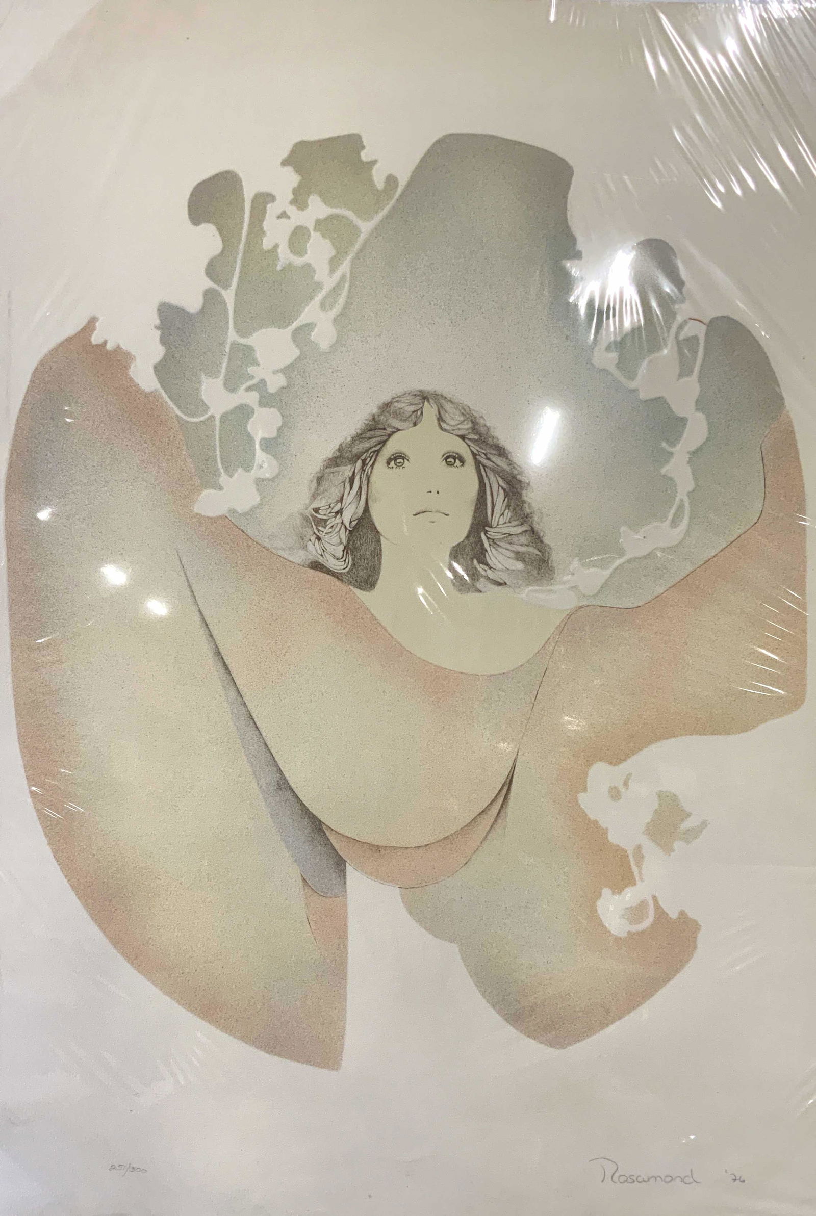 CHRISTINE ROSAMOND Signed Ltd Ed Litho 76 (1 of 10)