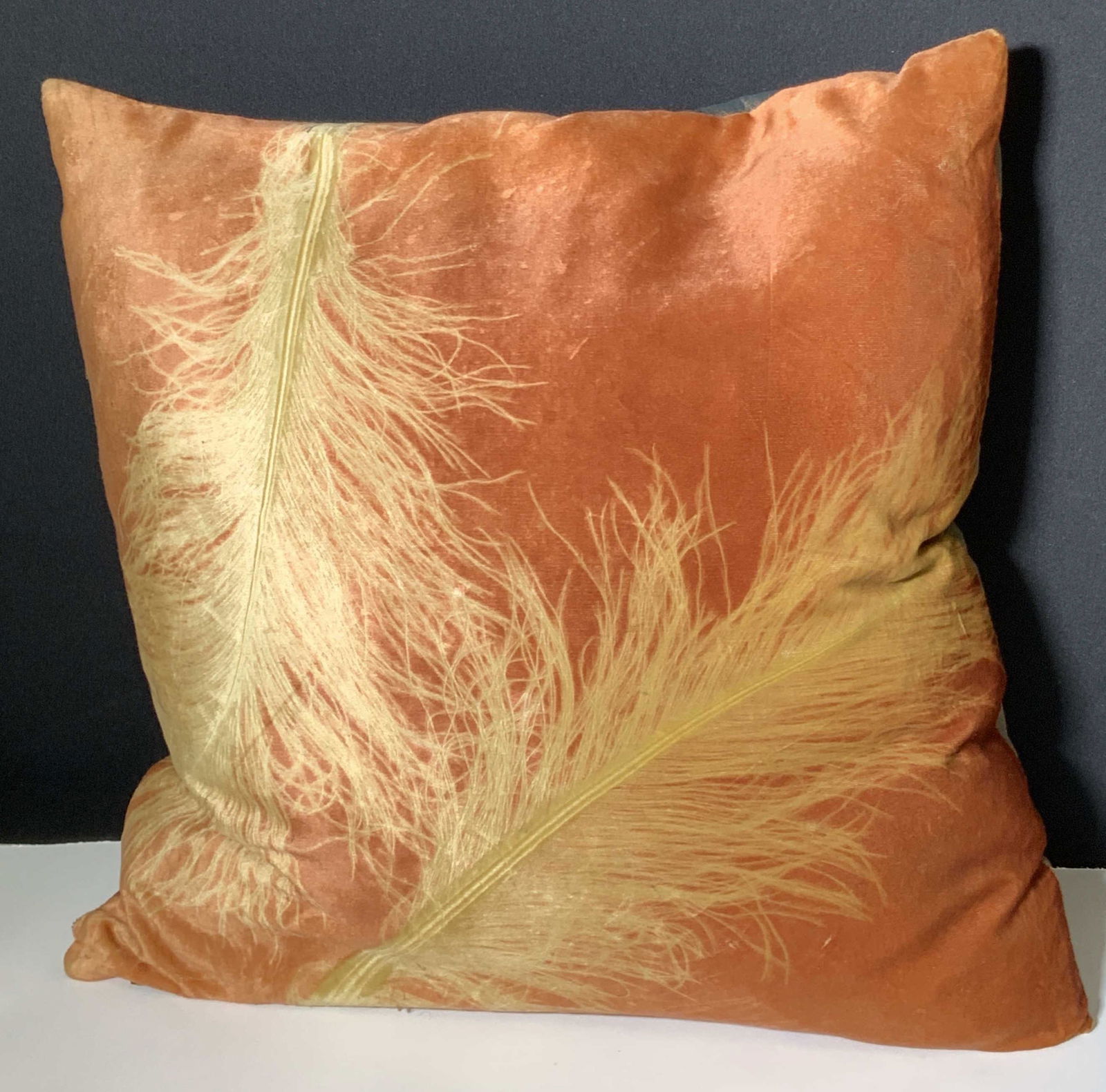 AVIVA STANOFF Signed Feather Motif Throw Pillow (1 of 12)
