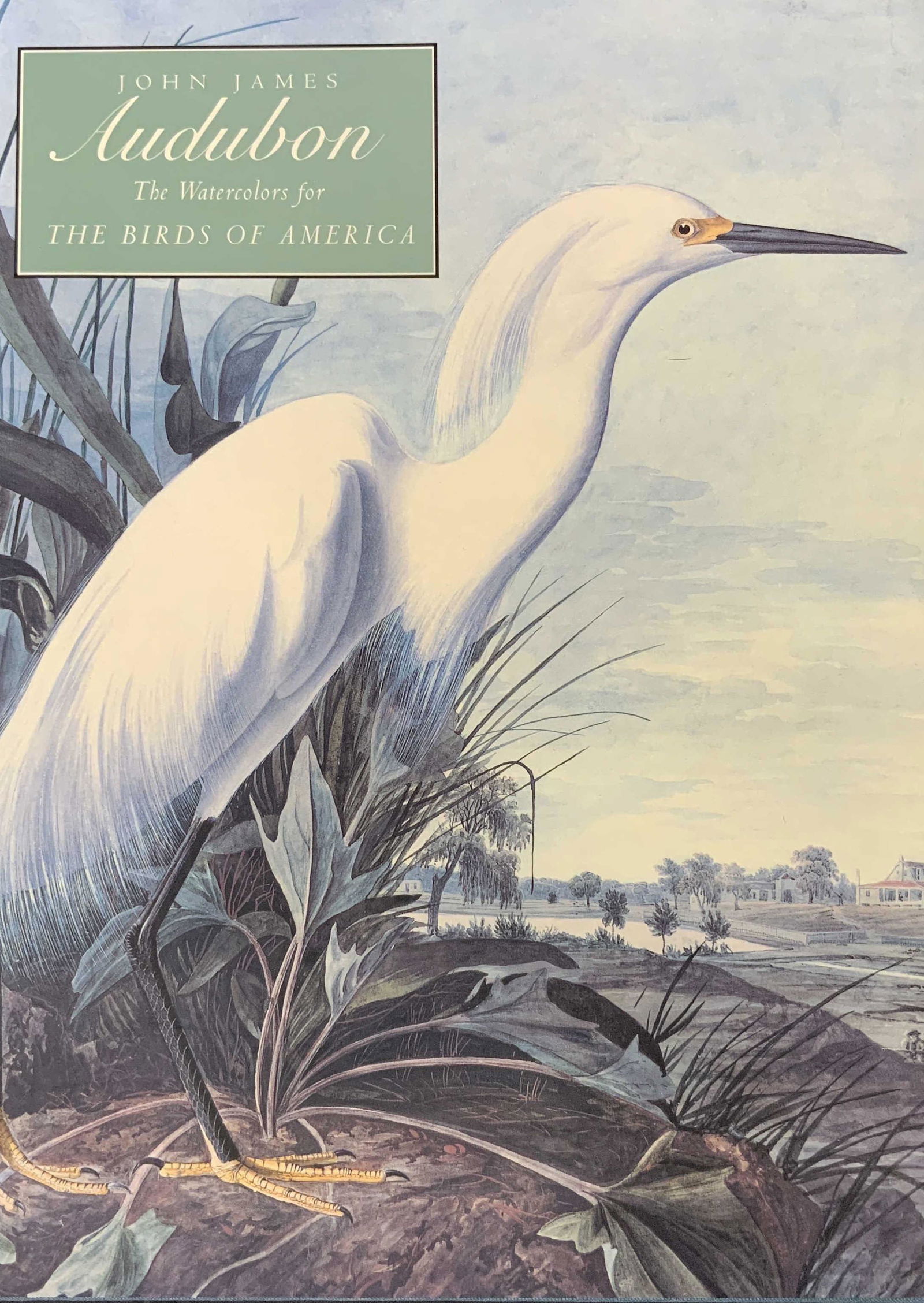 JOHN JAMES AUDUBON Coffee Table Book (1 of 9)