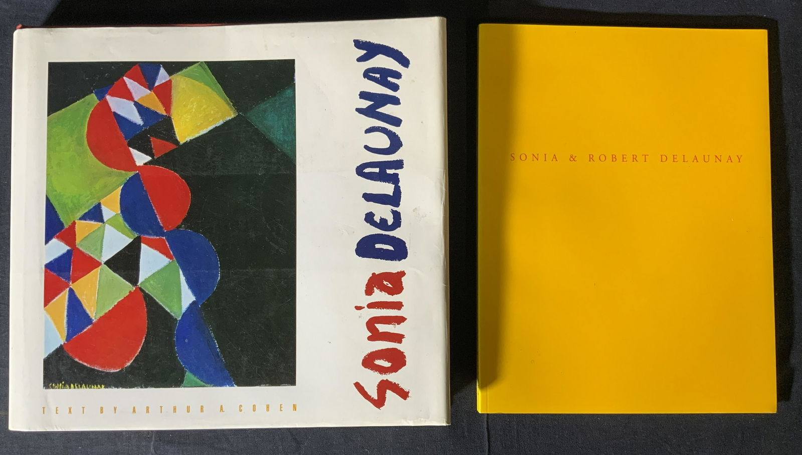 Lot 2 SONIA DELAUNAY Coffee Table Books (1 of 5)
