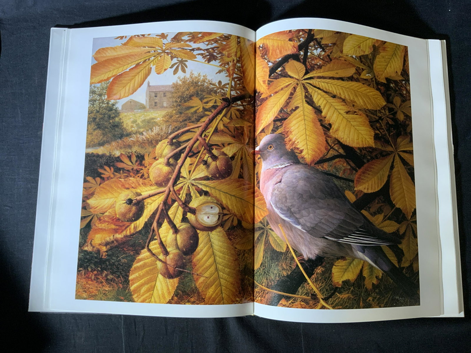 Lot 4 Botanical Books: Lot 4 Botanical Books, inscriptions read ‘Raymond Booth An Artist’s Garden’, ‘Beautiful Botanicals Painting and drawing flowers and plants’, ‘Newport in Flower A History of Newport’s Hor
