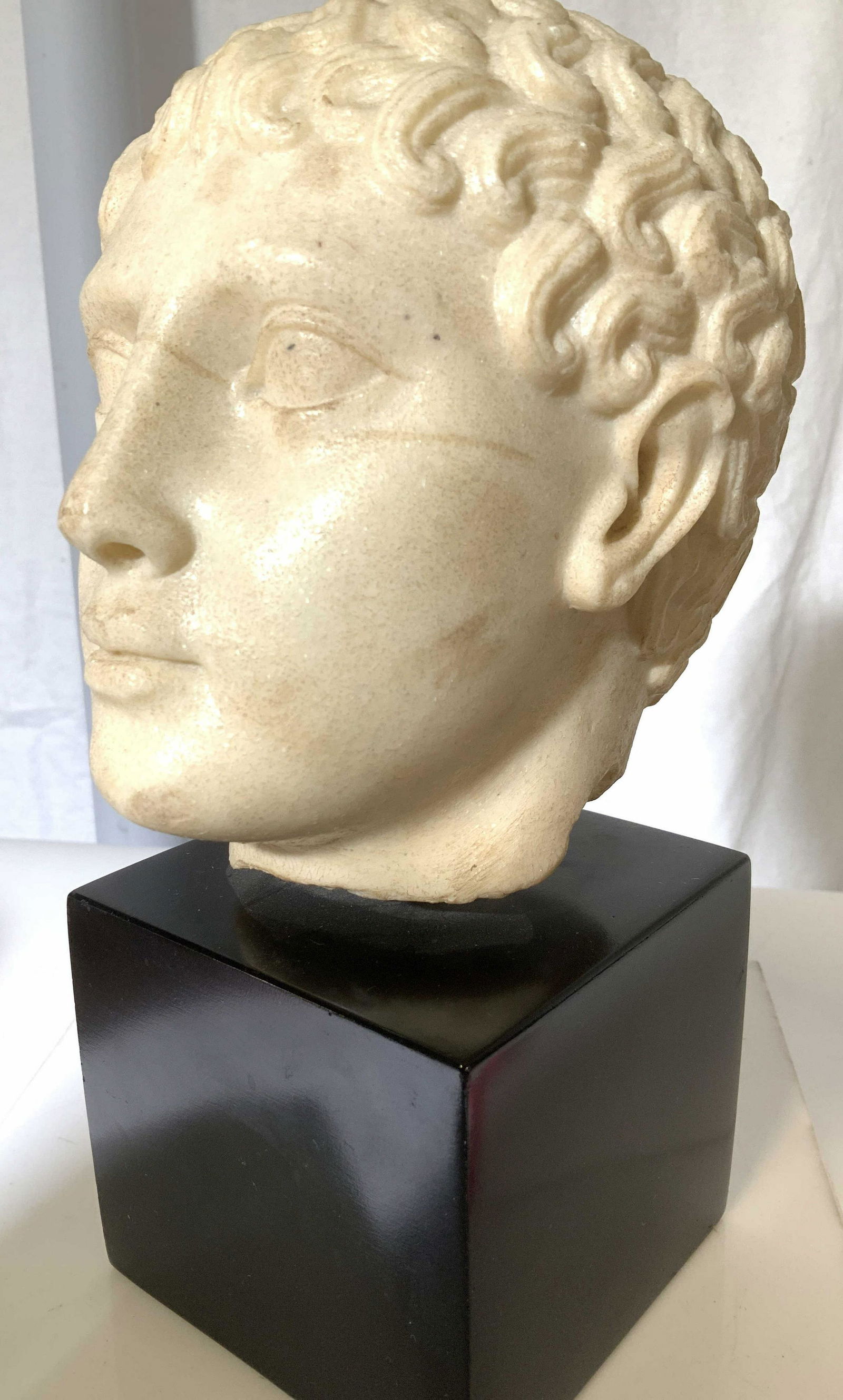 Stone Head Statue Julius Cesar/ Roman Emperor (1 of 6)