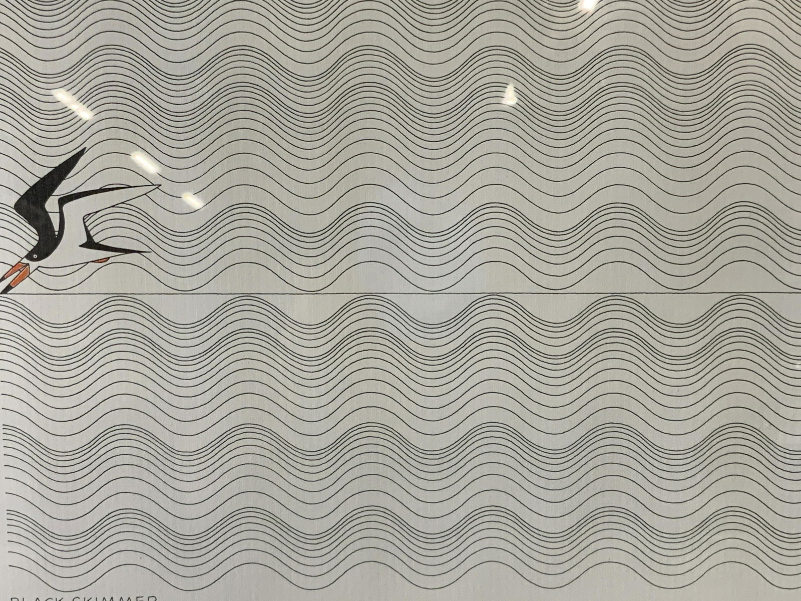 Black Skimmer Lithograph Artwork (1 of 6)