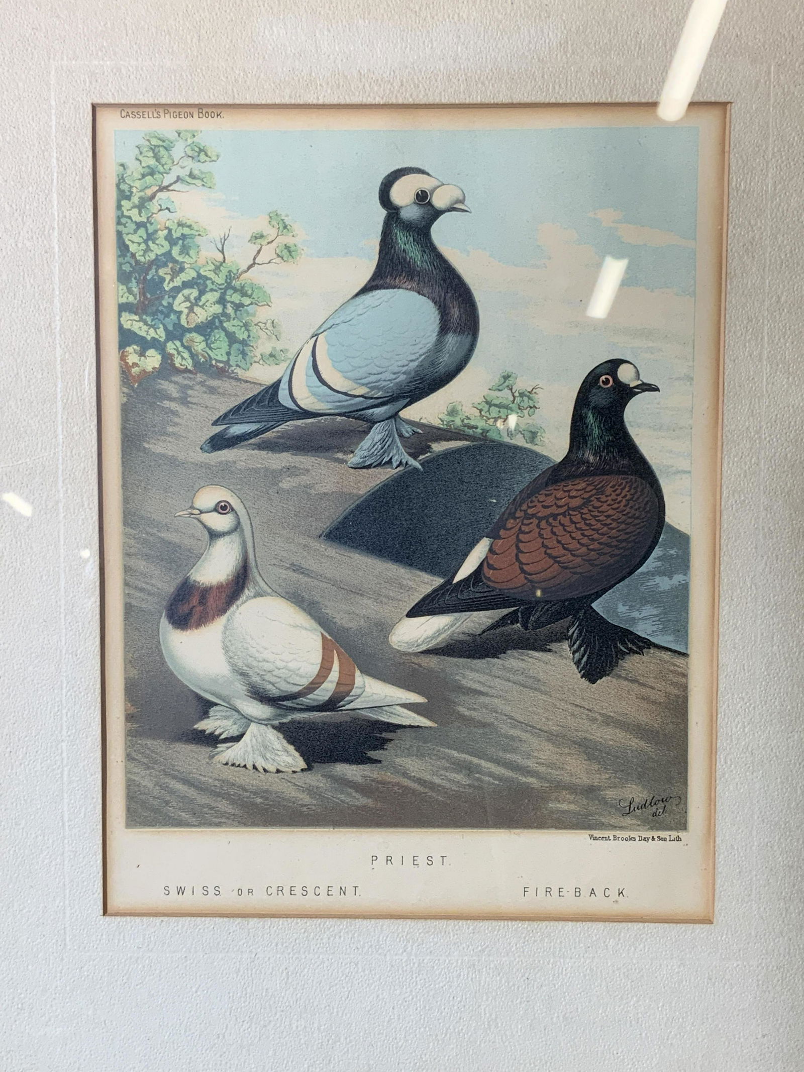 Antique Chromolitho after painting by J.W. Ludlow (1 of 8)