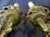 item-102209118=5