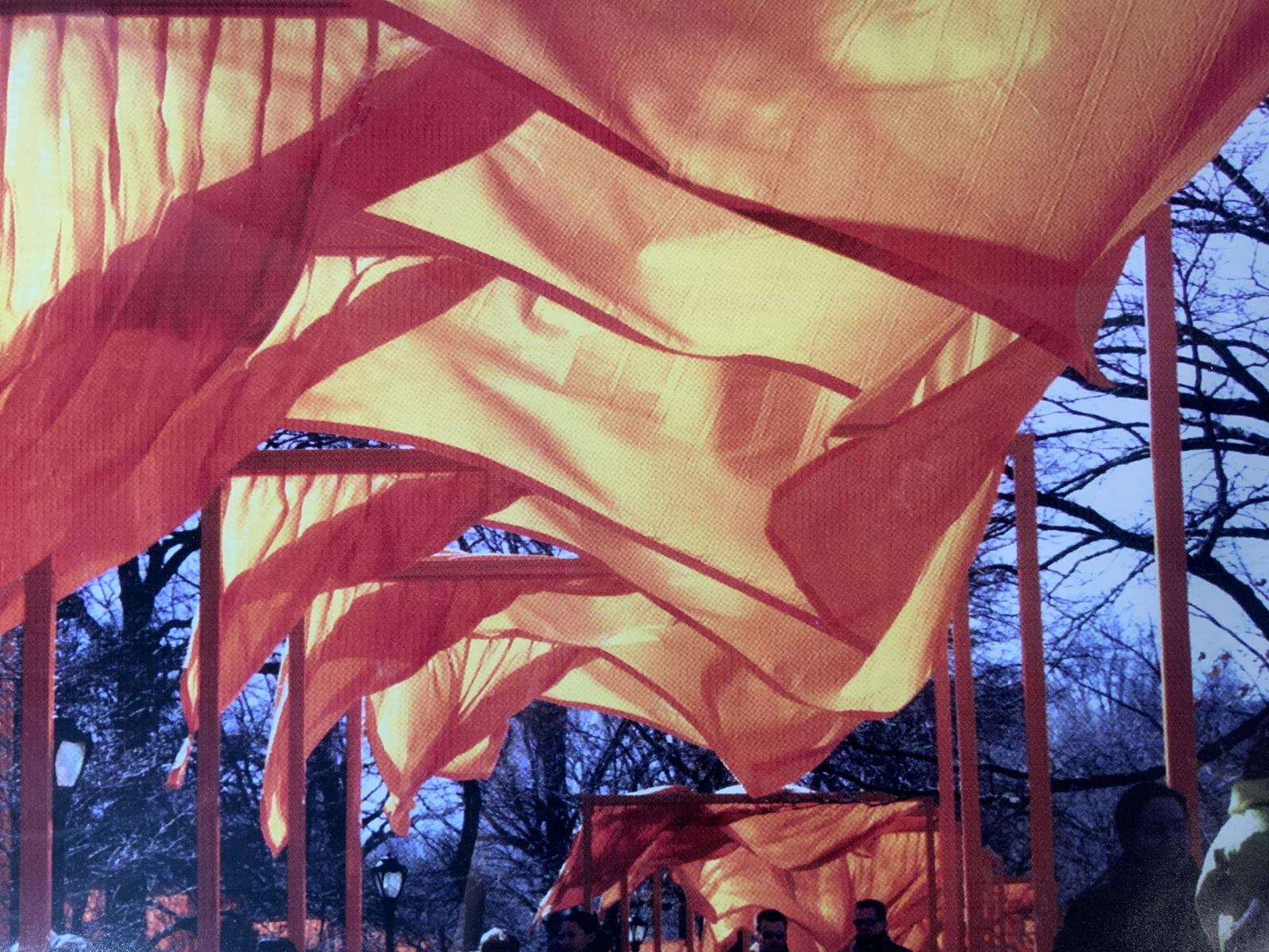 Photograph of CHRISTO & JEANNE-CLAUDE’s The Gates (1 of 7)