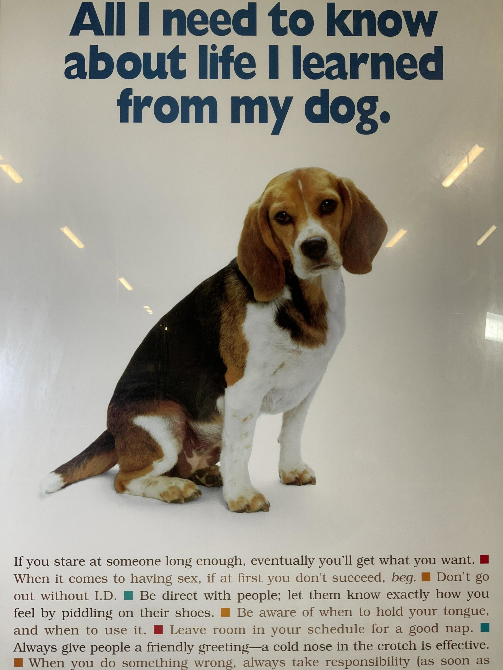 ‘I Learned from my Dog’ Poster: ‘I Learned from my Dog’ Poster, inscription to upper portion of piece reads ‘All I need to know about life I learned from my dog’, subject a dog sitting, measures 36 7/8 x 25 inches, wooden fr