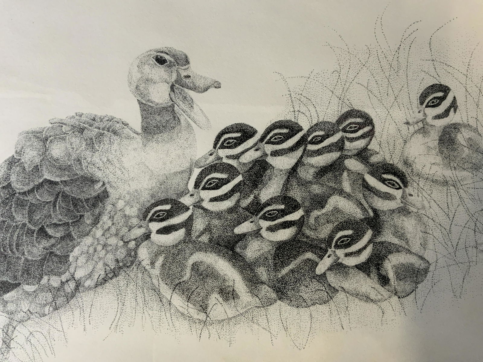 Lithograph of Mother Duck & Ducklings (1 of 7)