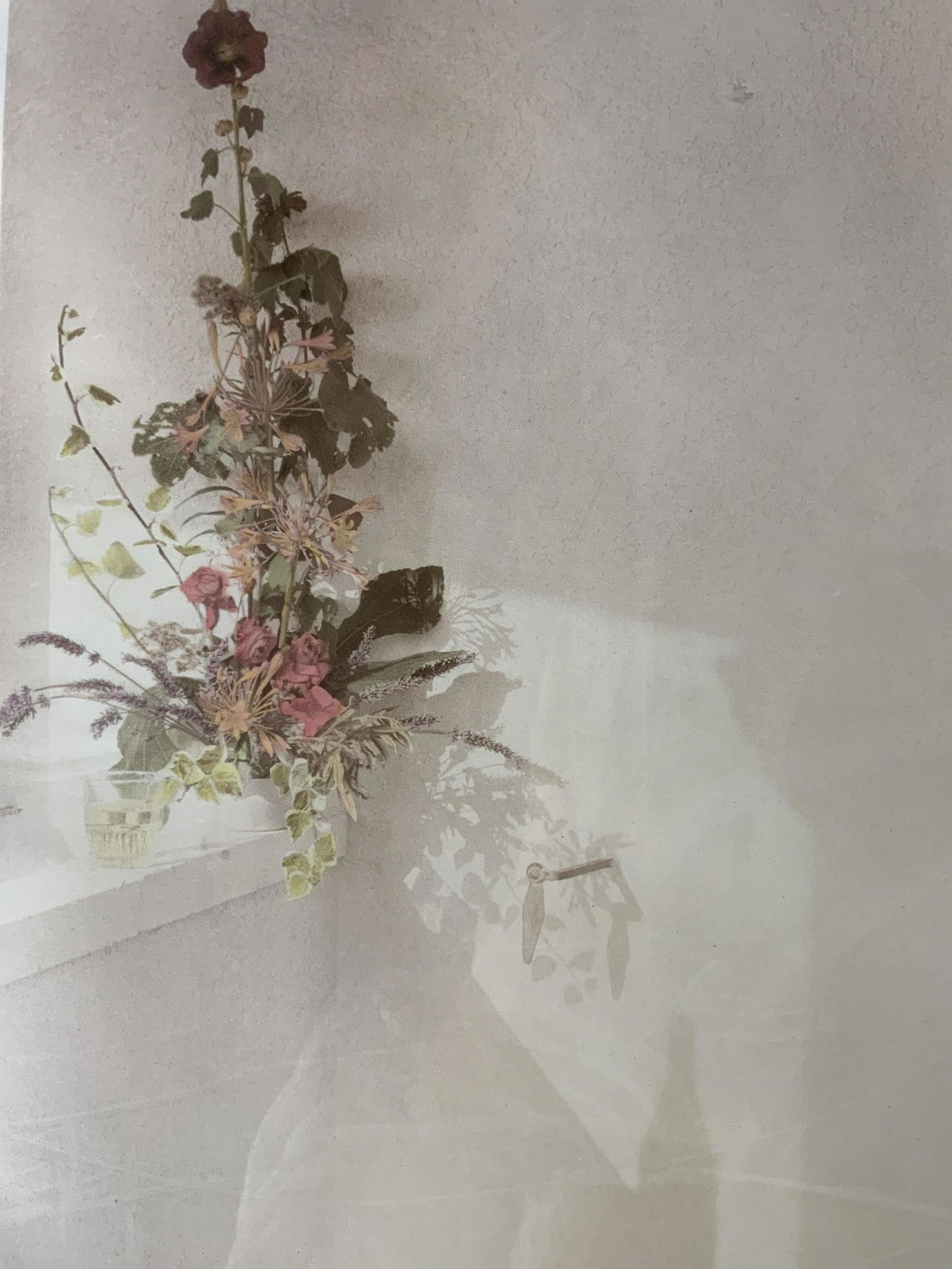 ELIZABETH GALEUIR Signed Lithograph 1988 (1 of 8)