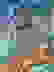 item-102330669=1