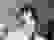 item-102330680=5