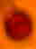 item-102330685=4