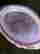 item-102330691=3