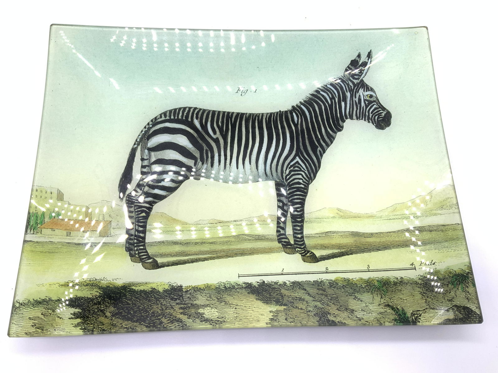 Signed Reverse Paint On Glass Tray, John Derian Co (1 of 11)