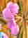item-102954377=3