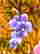 item-102954377=4