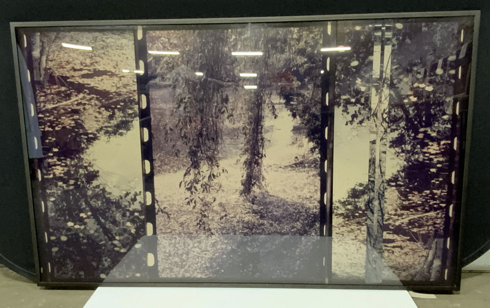 Untitled 3 Panel Photograph Collage (1 of 18)