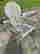 item-104172549=8