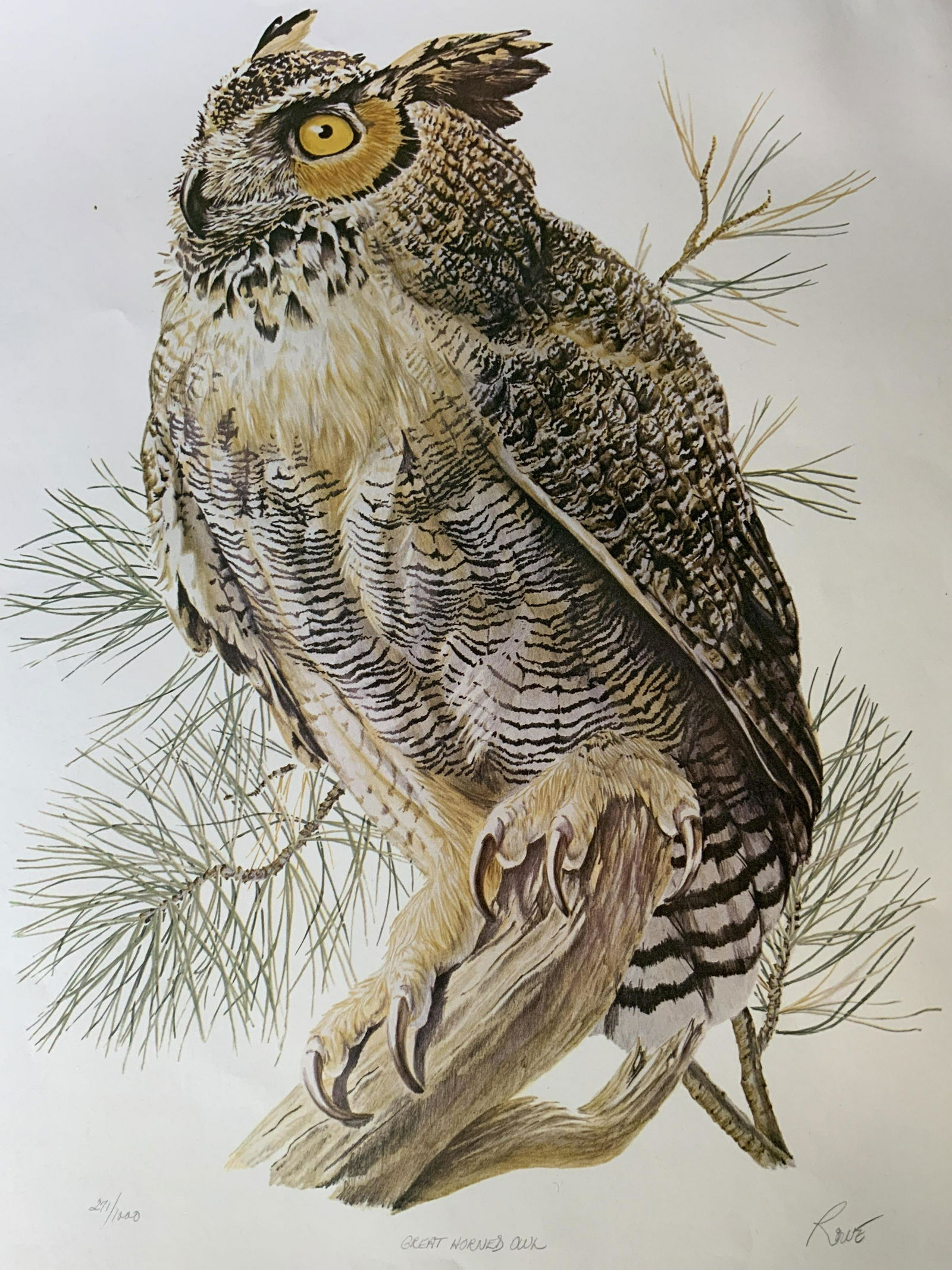 Lot 2 Signed Owl & Goldfinch Offset Lithographs (1 of 8)