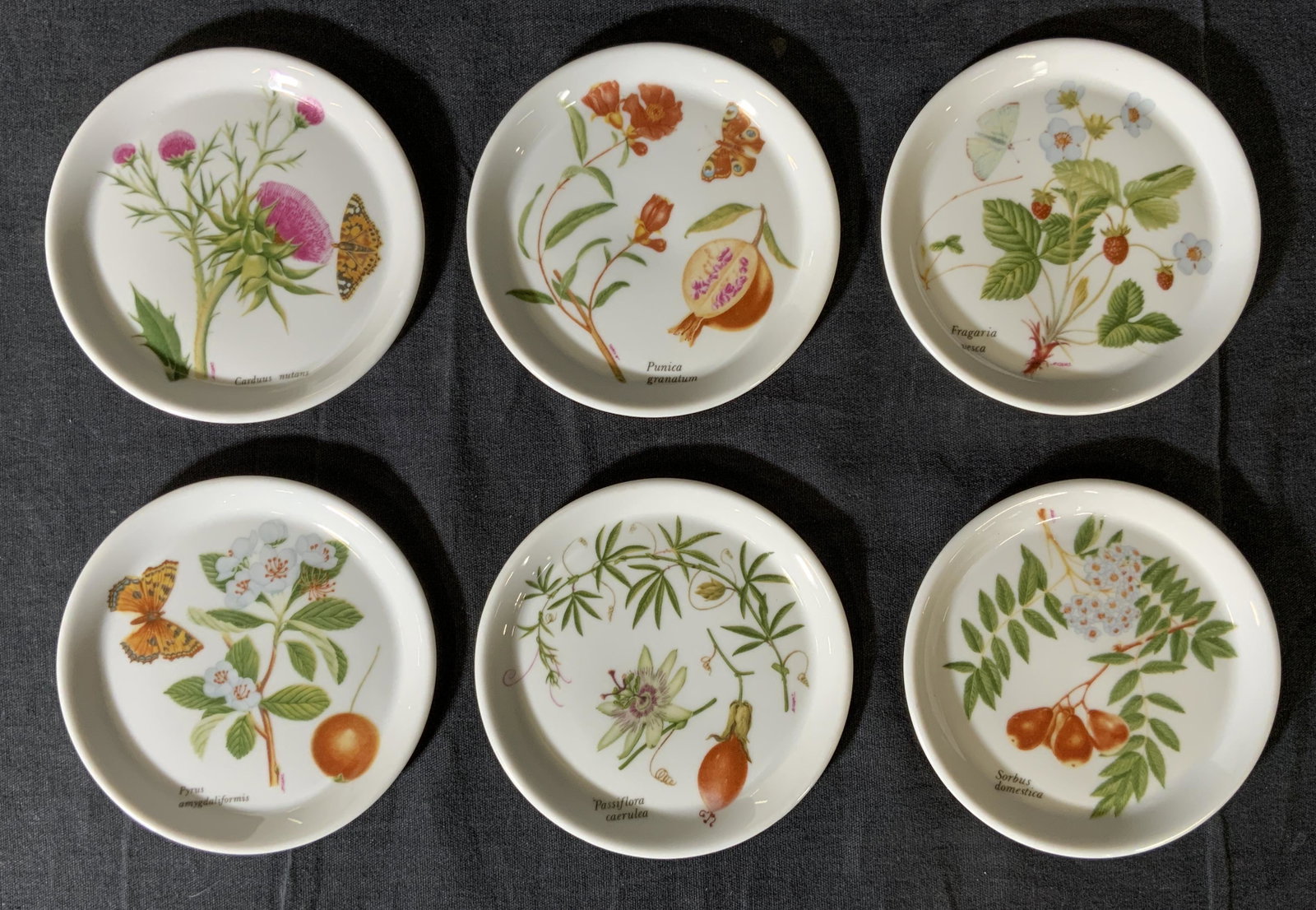 Set 6 LOURIOUX Porcelain Saucers: Set 6 LOURIOUX Porcelain Saucers, stamps read ?Porcelaine LOURIOUX creation Ph Deshoulieres France?, all measure 3 7/8 inches in diameter, surface wear to pieces, LOURIOUX, porcelain, decorative arts,