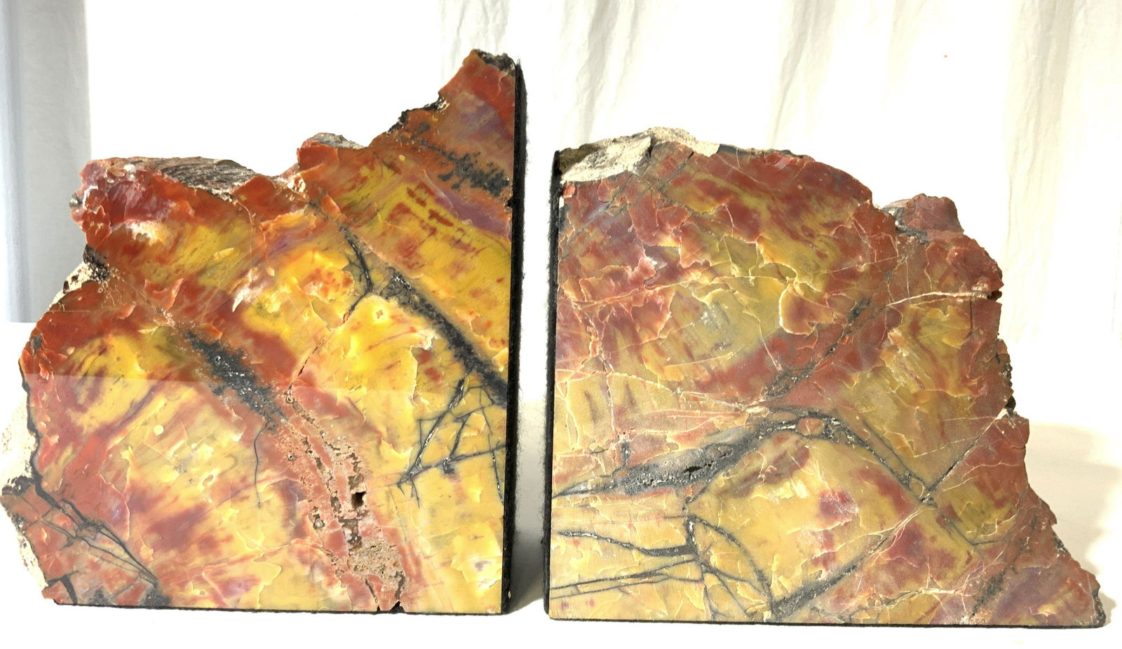 Large Pair Petrified Wood Bookends (1 of 8)
