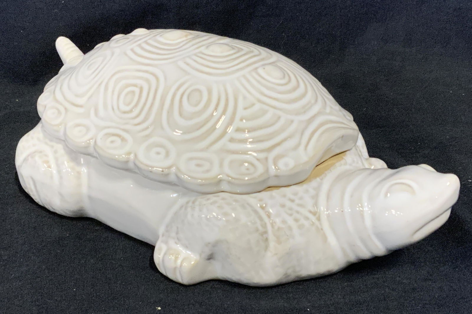Ceramic Turtle Vessel (1 of 5)