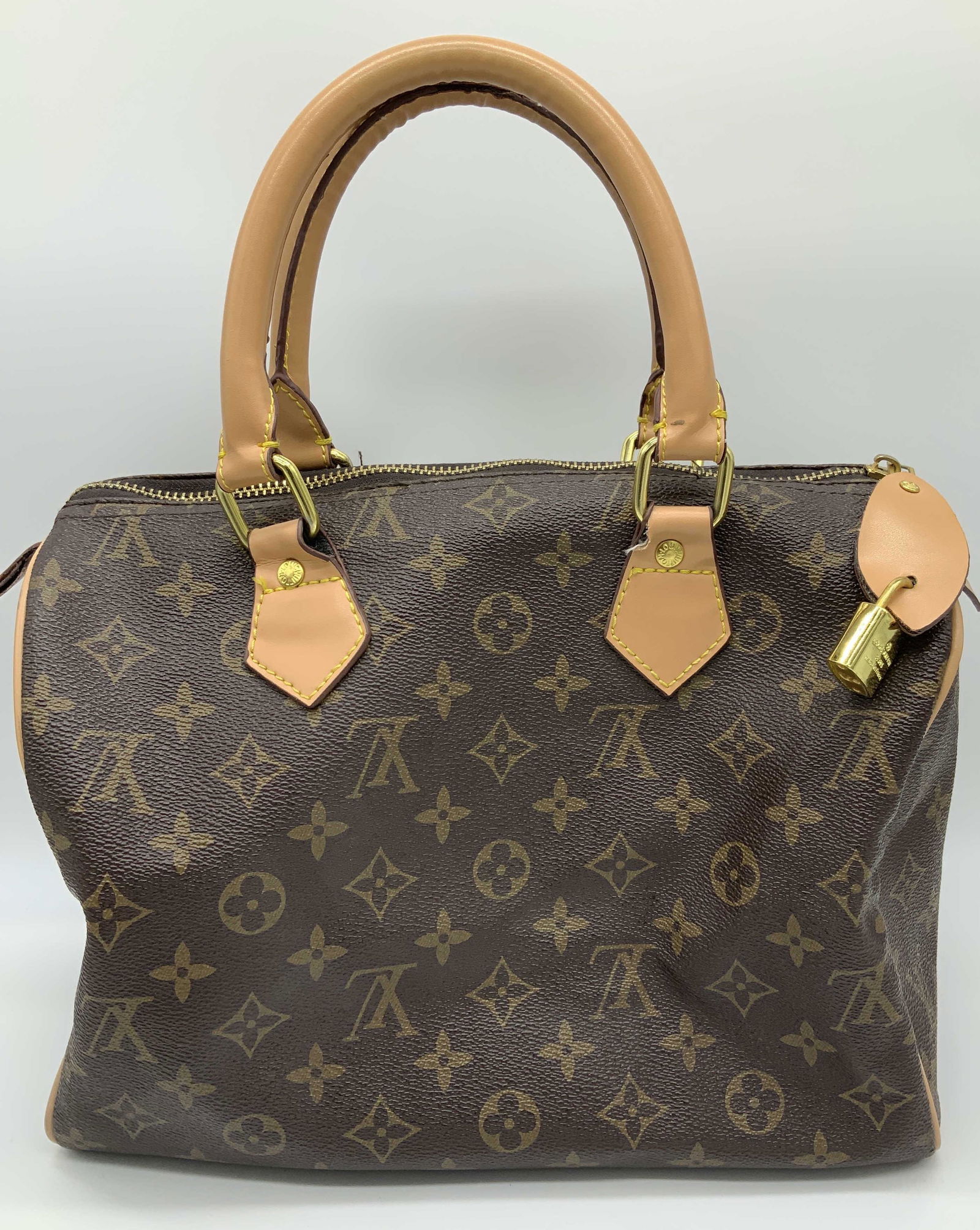Authentic LOUIS VUITTON TOTEM Top Handle Bag (1 of 13)