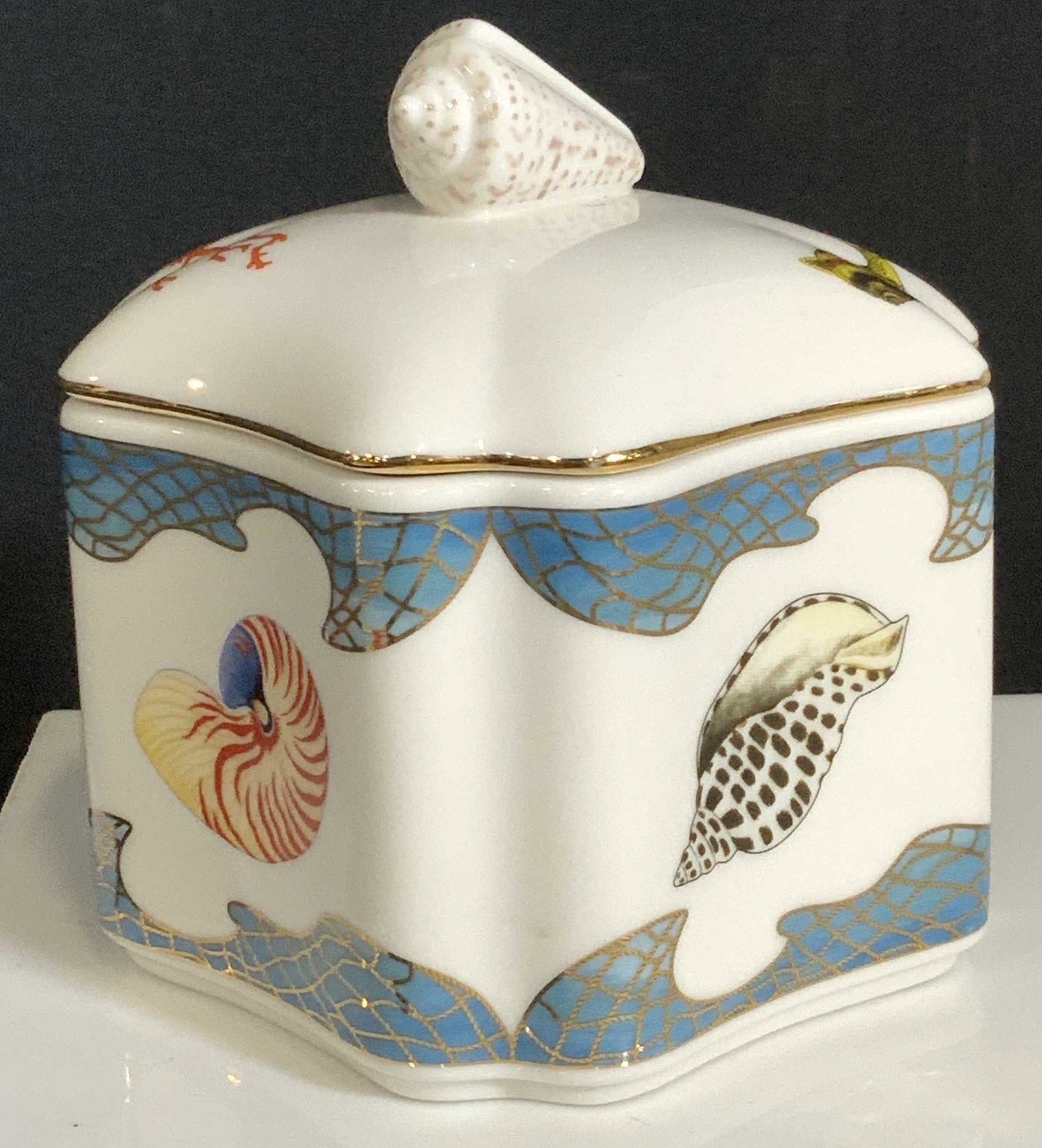 Lynn CHASE Designs Porcelain Seashell Lidded Bowl (1 of 9)