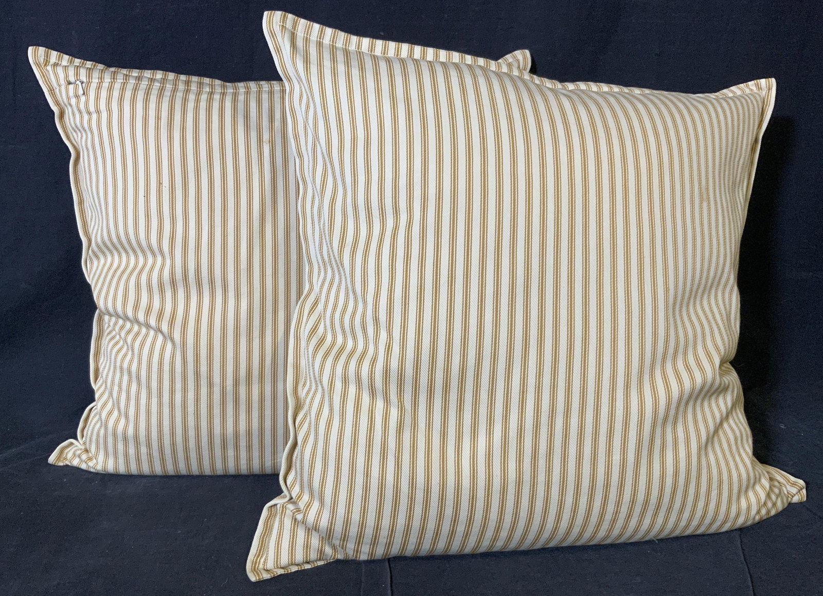 Pair Striped Cotton Pillows with Feather Inserts (1 of 5)