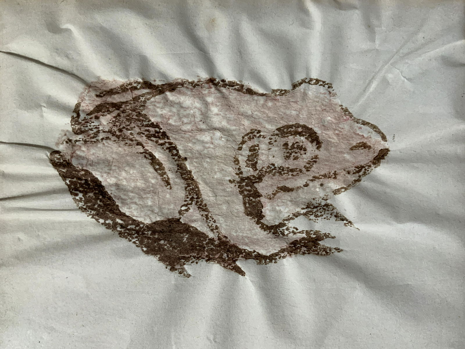 Seated Frog Lithograph (1 of 5)