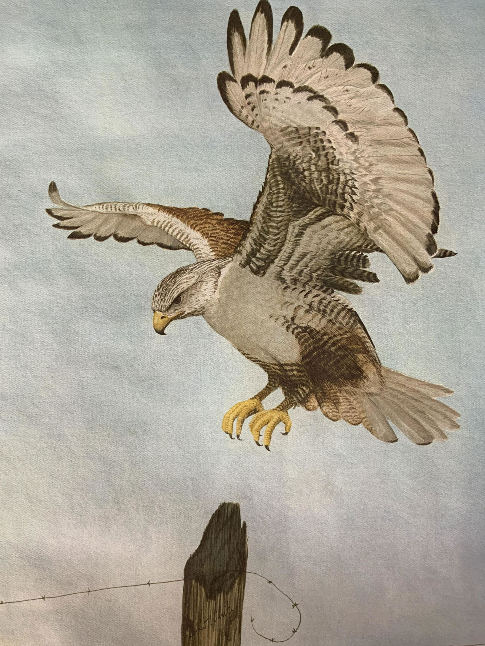 ROBERT WHITE Signed Offset Lithograph (1 of 7)