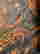 item-108268301=6