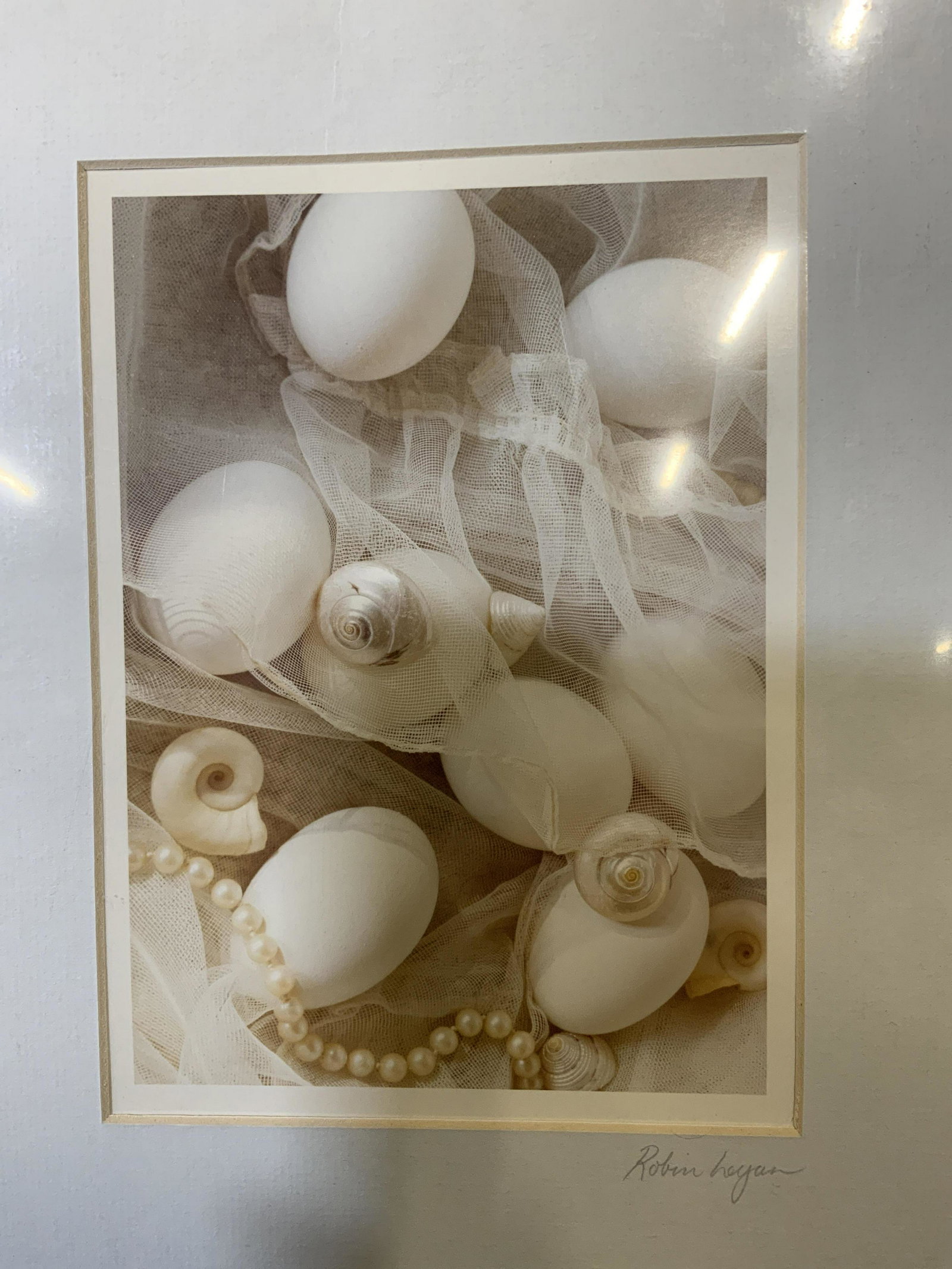 Lot of 2 ROBIN LOGAN Signed Photographs (1 of 5)