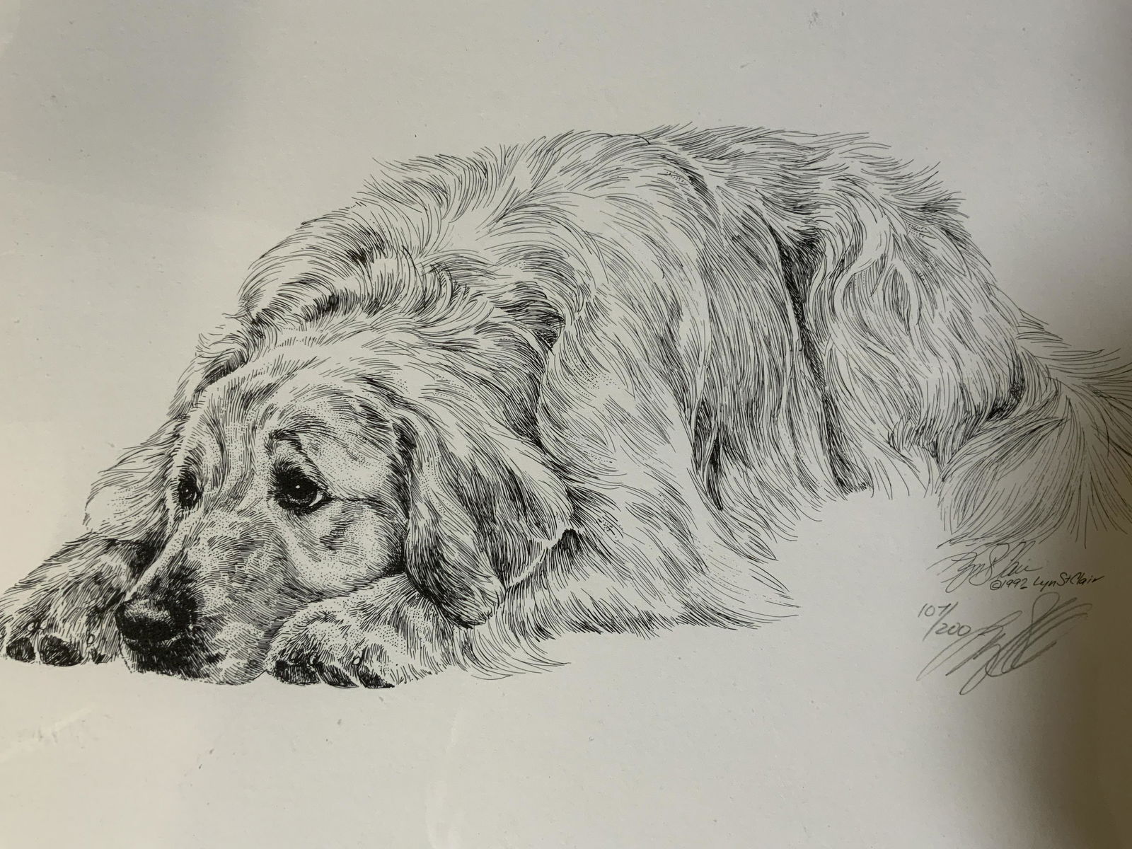 LYN ST CLAIR Signed Etching of Dog (1 of 6)