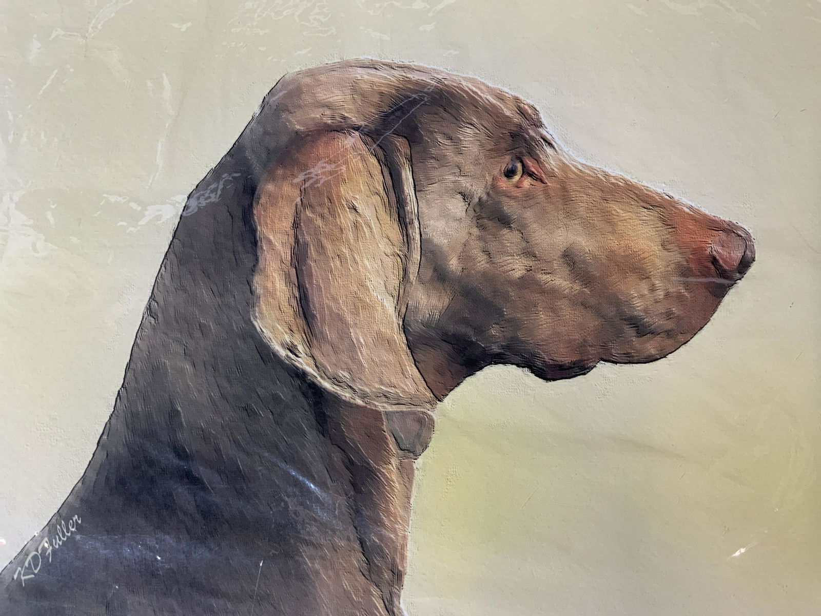 Lot 3 Offset Lithographs & Photograph of Dogs (1 of 7)