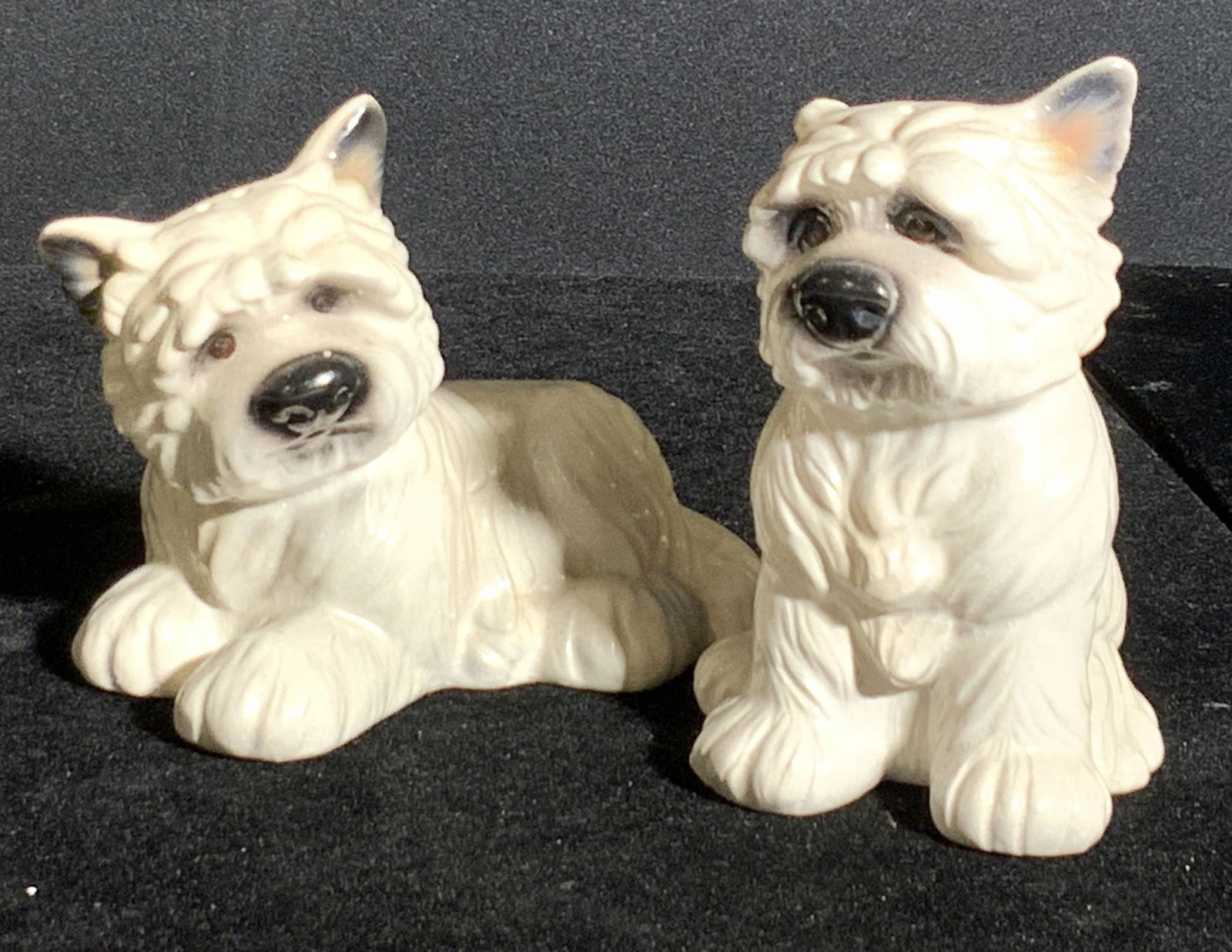 Pair BIG SKY CANINE Ceramic Dog Seasoning Shakers (1 of 9)