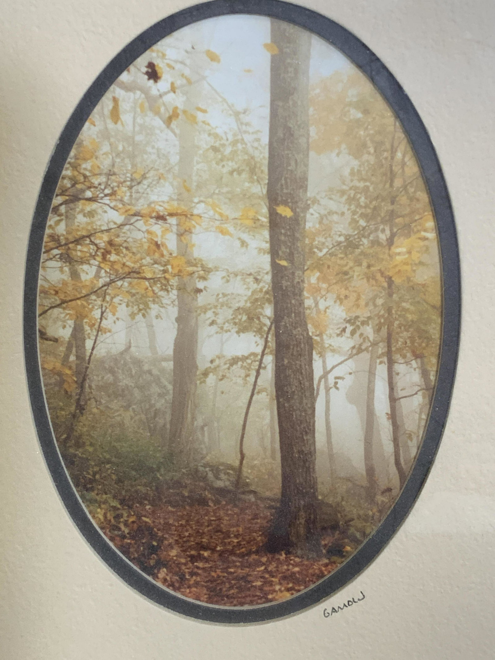 Lot 3 Wooden Picture Frames, Wall Decor (1 of 7)