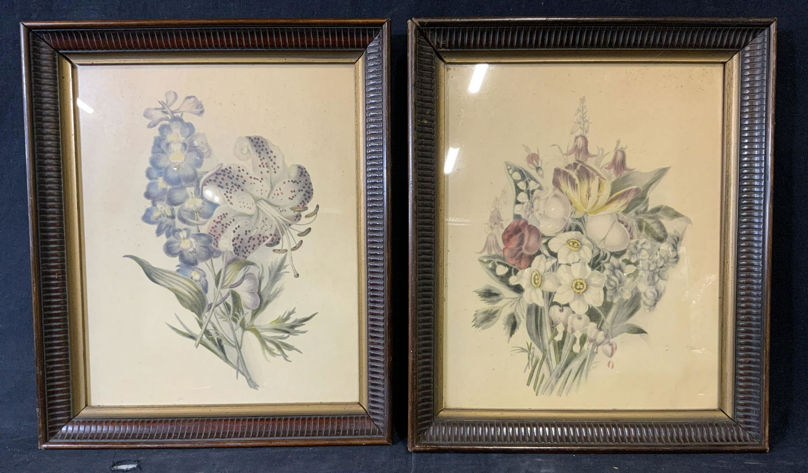 Lot of Two Antique Botanical Lithograph (1 of 5)