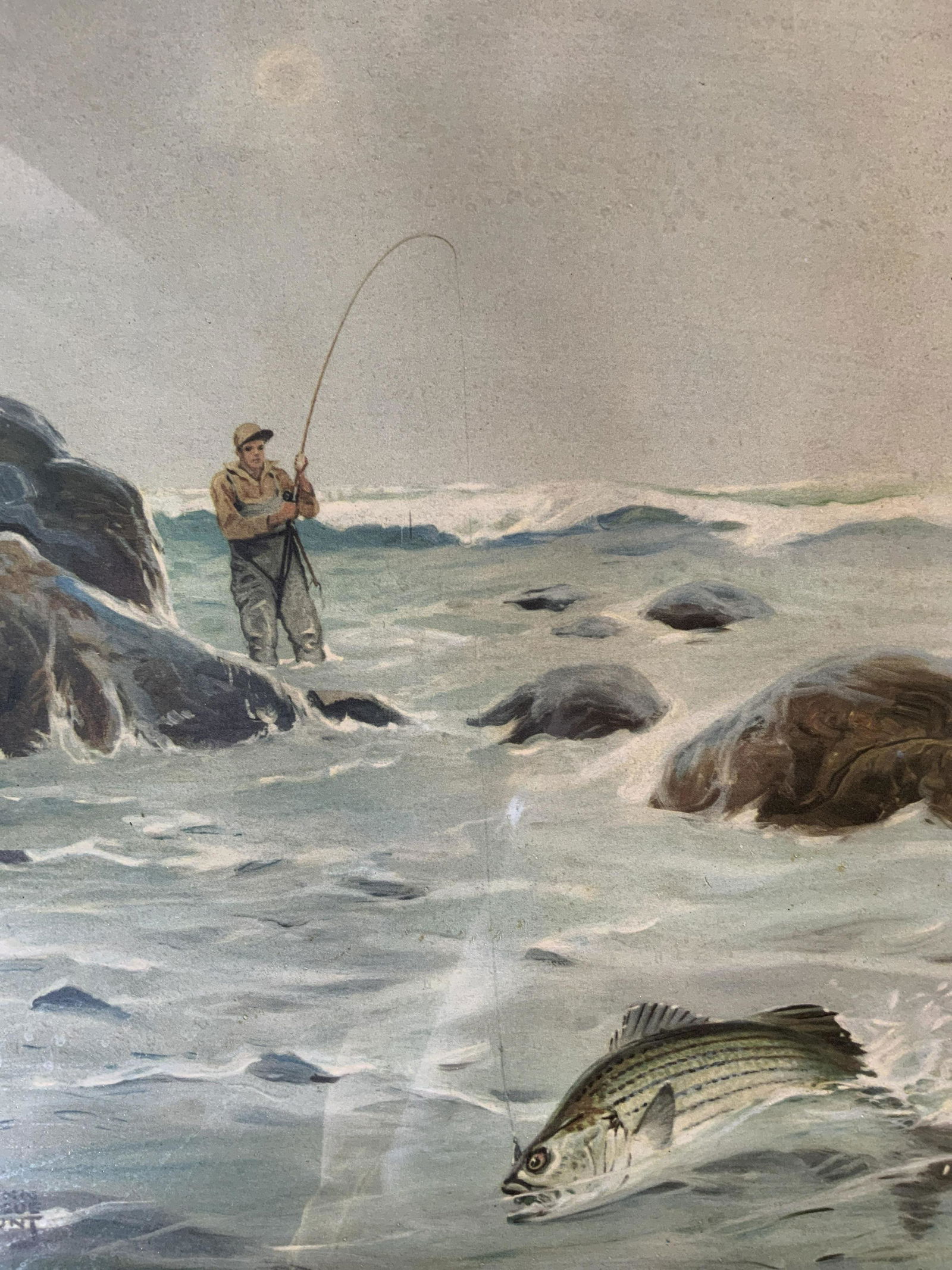 LYNN BOGUE HUNT Striped Bass Offset Lithograph (1 of 6)