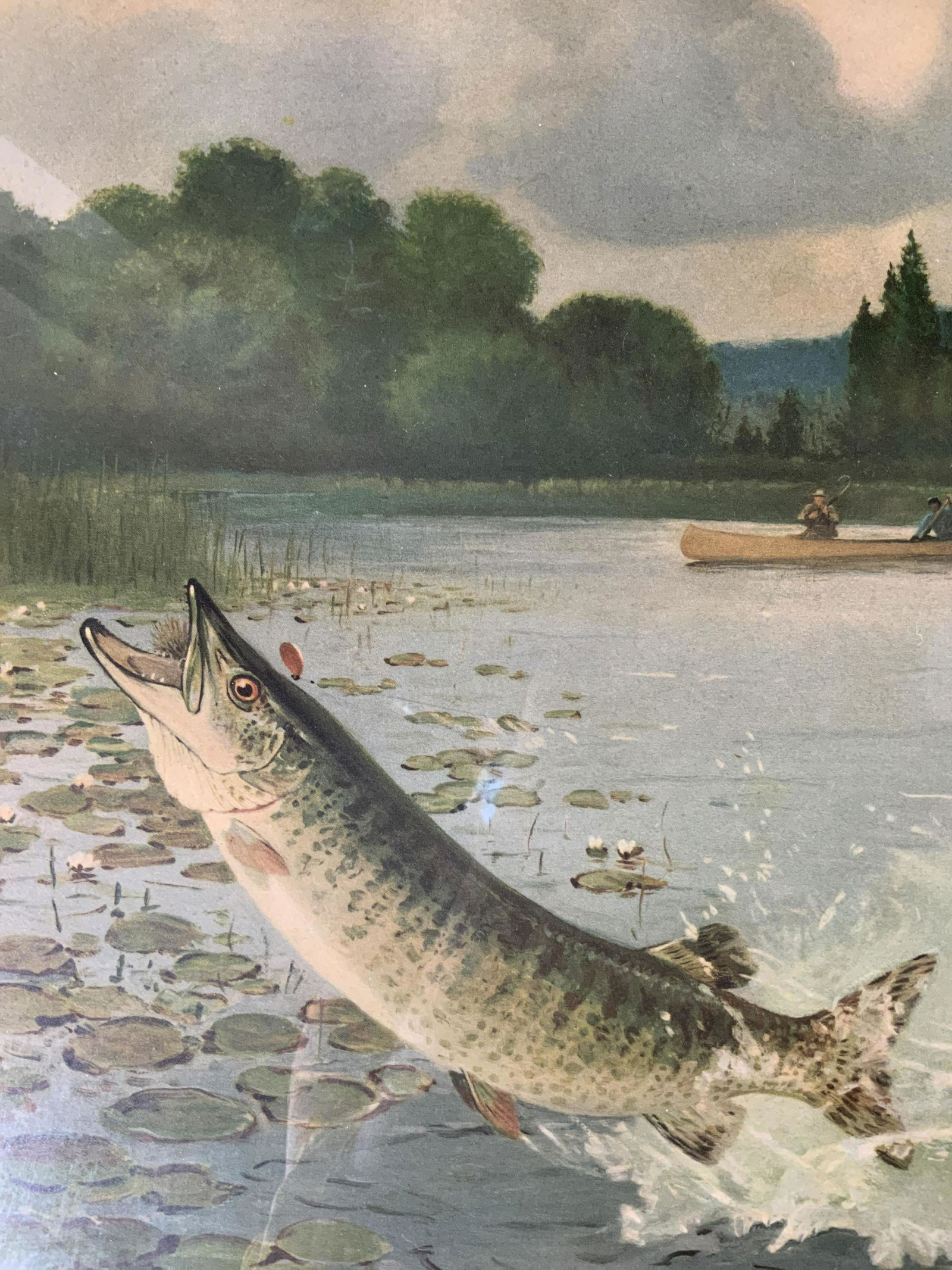 LYNN BOGUE HUNT Musky Fish Offset Lithograph (1 of 7)