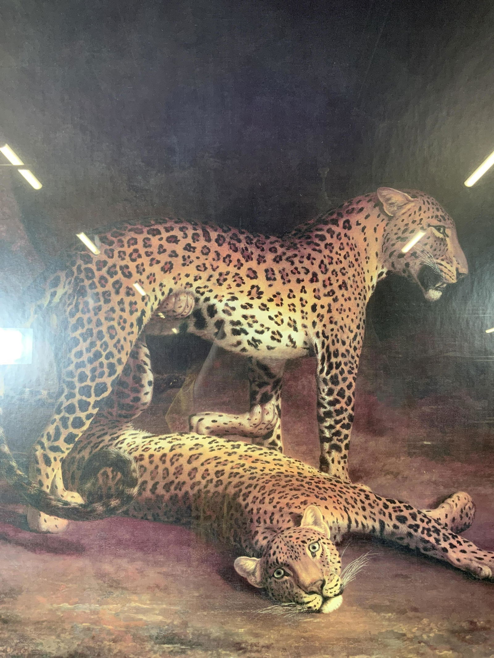 JACQUES-LAURENT AGASSE Leopards Offset Lithograph (1 of 6)