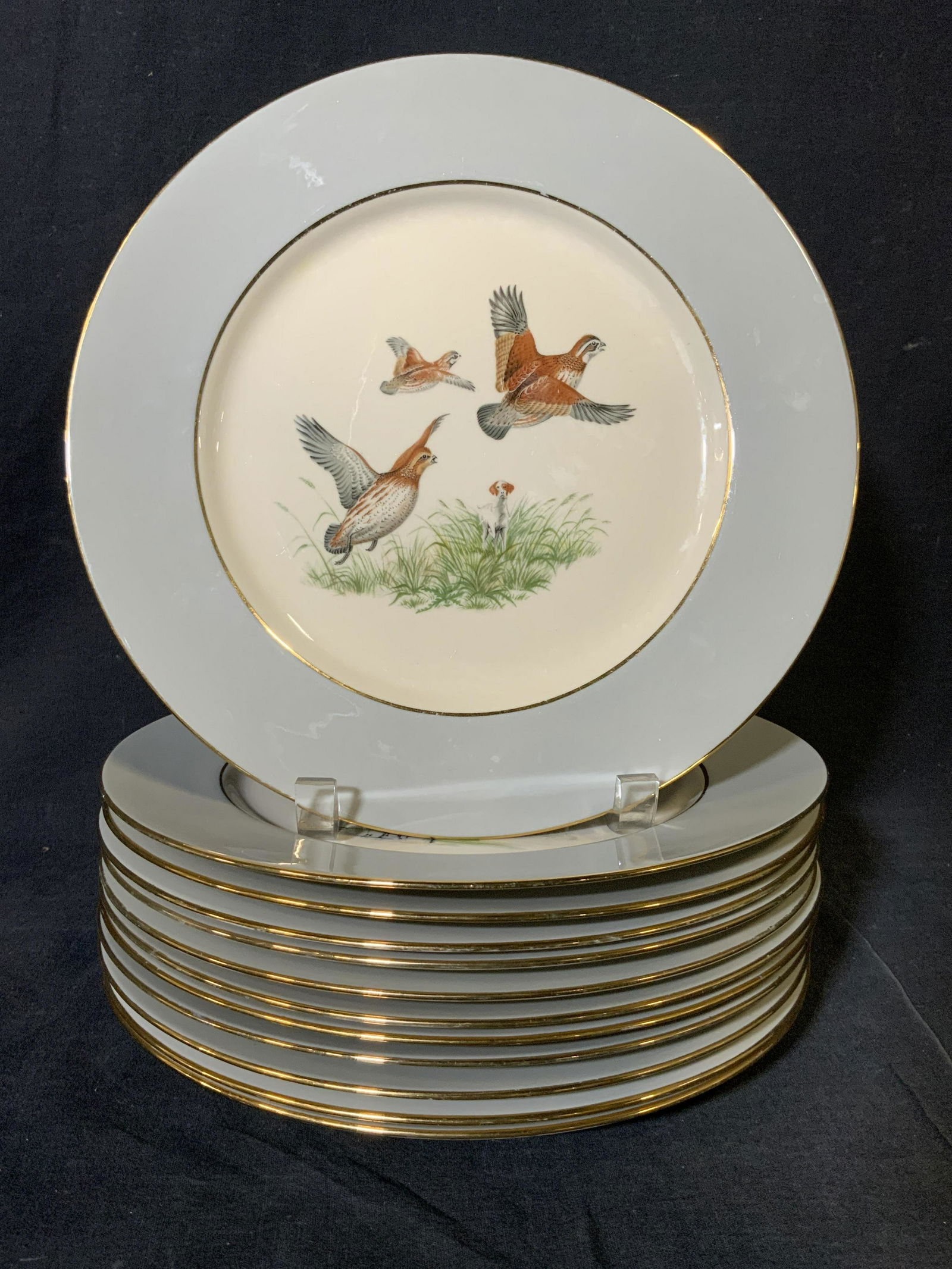 Set 12 ELIOT China Plates (1 of 6)