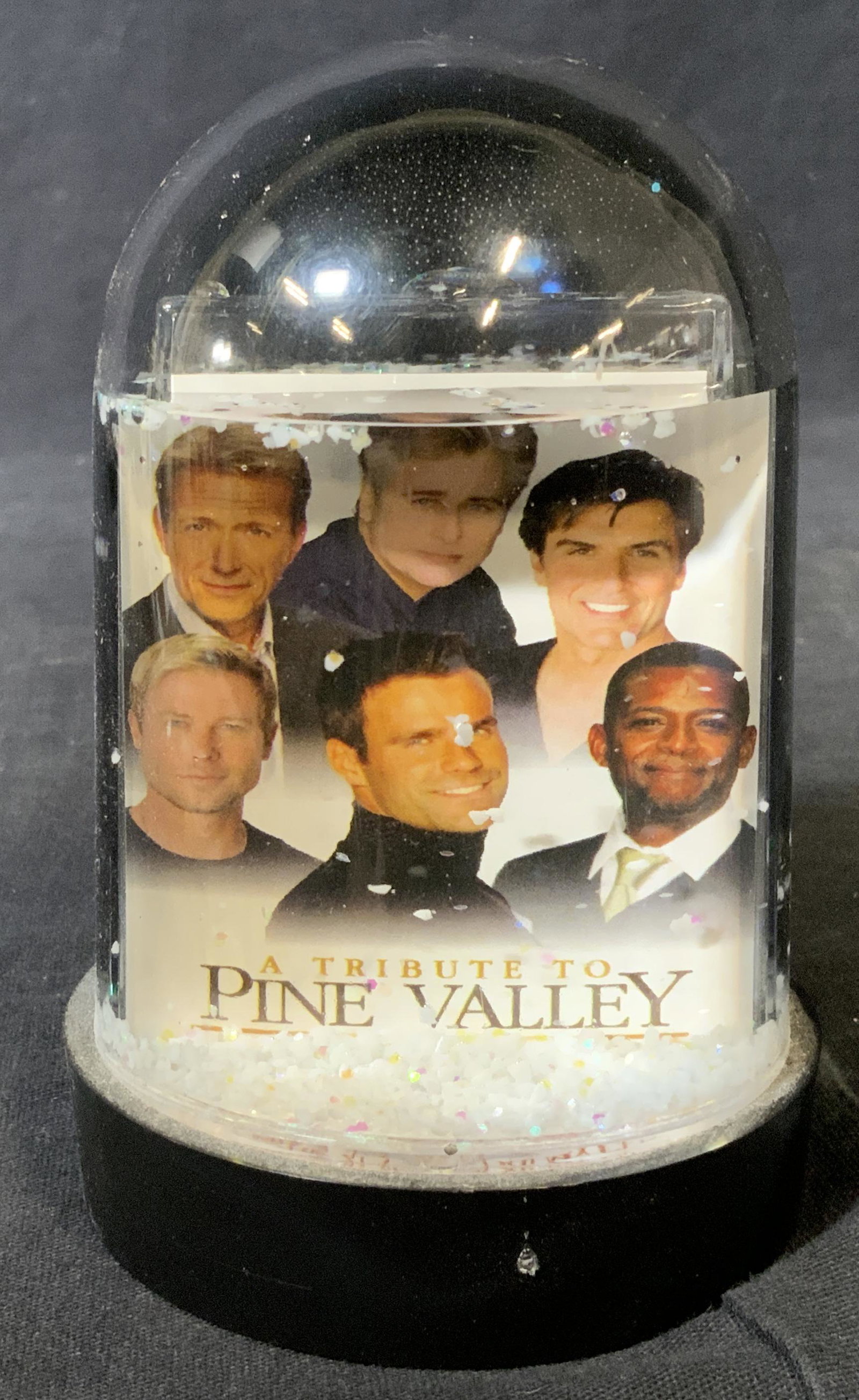 Pine Valley Snow Globe: Pine Valley Snow Globe, text to globe reads ‘A Tribute to Pine Valley’, photo to interior depicts the cast, piece measures approximately 4.75 inches at tallest point, Pine Valley, Snow Globe, home