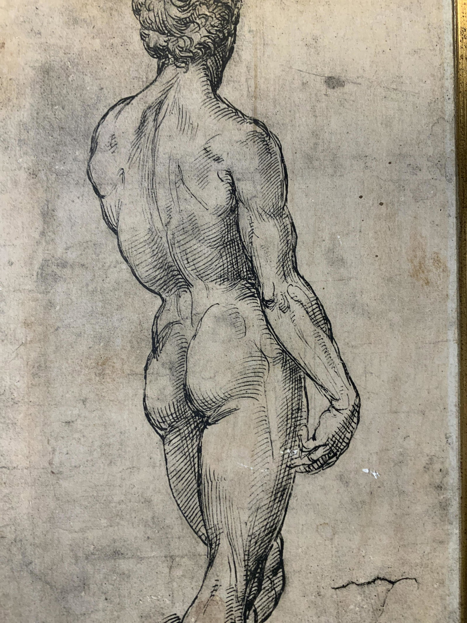 RAPHAEL Male Nude Study Lithograph on Wood: RAPHAEL Male Nude Study Lithograph on Wood, label to reverse reads ‘Fratelli Alinari’, measures 16 1/2 x 9 3/4 inches, not framed, surface wear to piece, Raphael male nude study lithograph on Wood