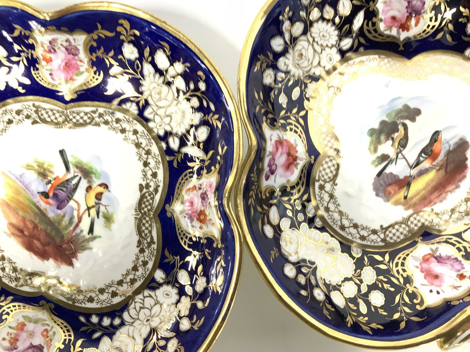 Pair Cobalt Blue & Gilt Display European Porcelain (1 of 9)